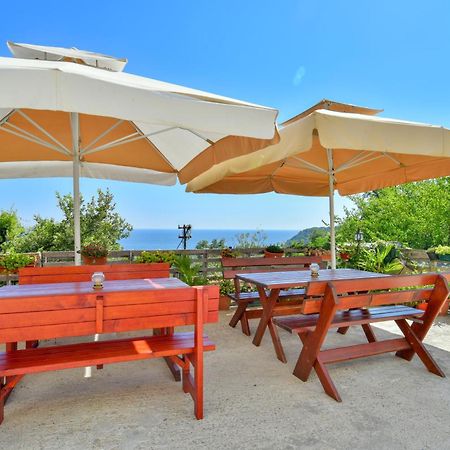 Pataki Studios Petrovac Dış mekan fotoğraf
