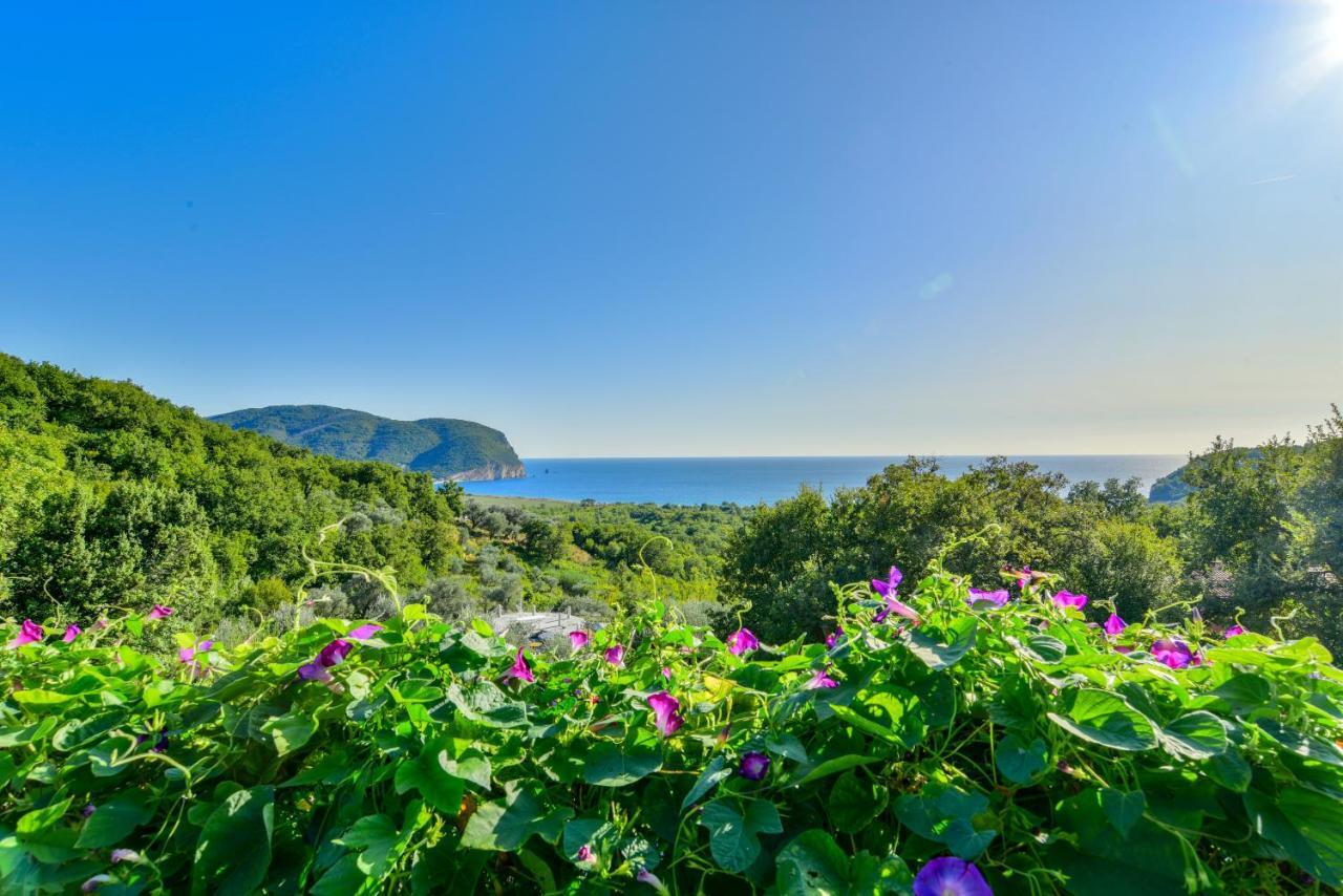 Pataki Studios Petrovac Dış mekan fotoğraf