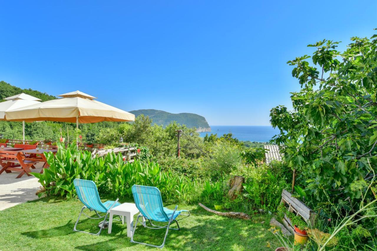 Pataki Studios Petrovac Dış mekan fotoğraf