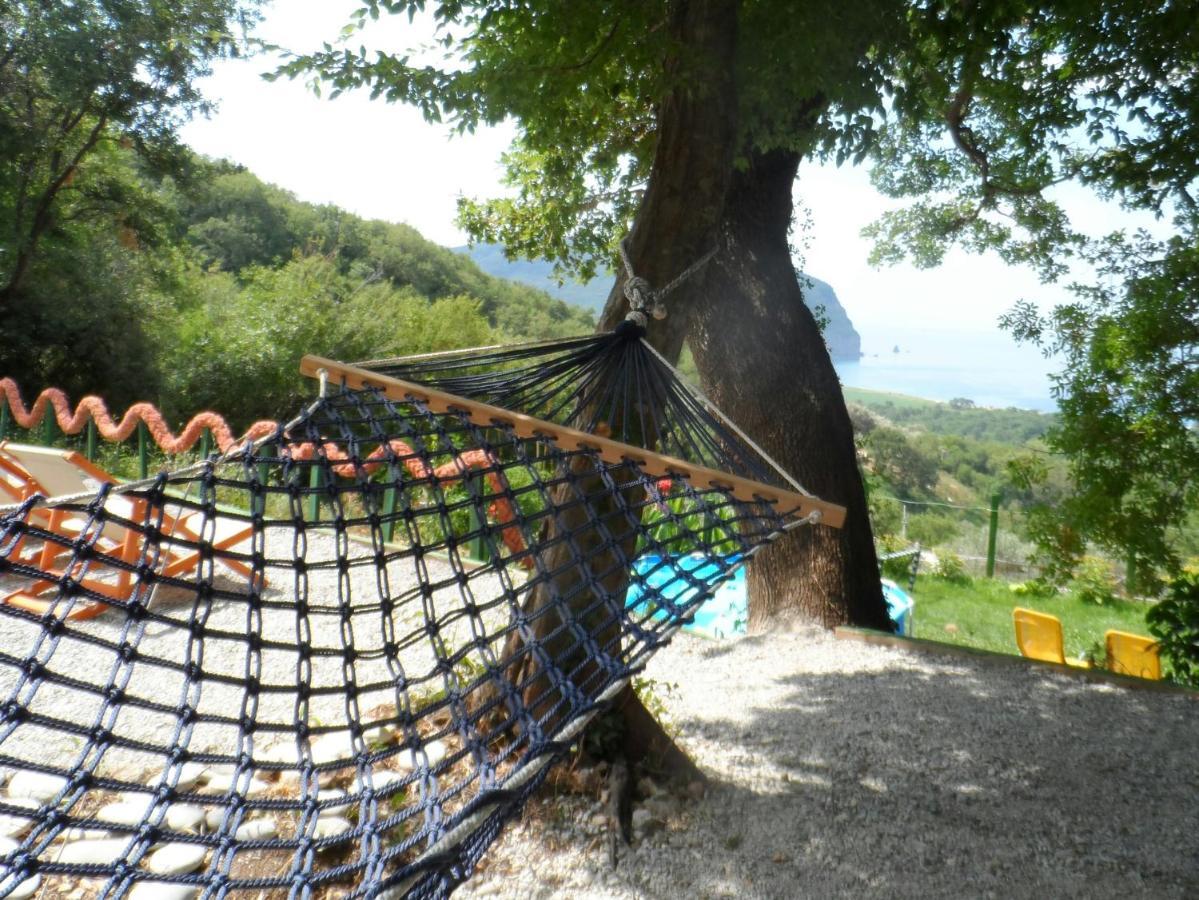 Pataki Studios Petrovac Dış mekan fotoğraf