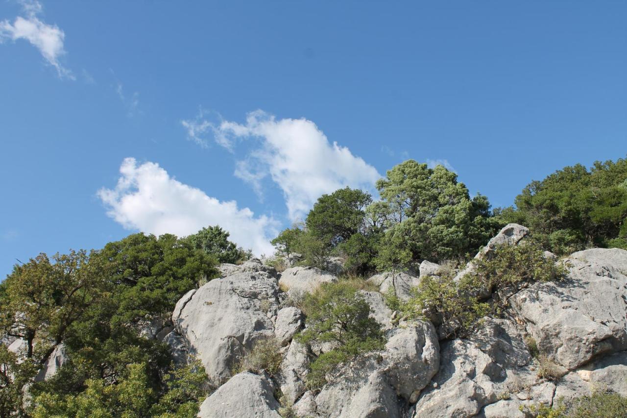 Pataki Studios Petrovac Dış mekan fotoğraf