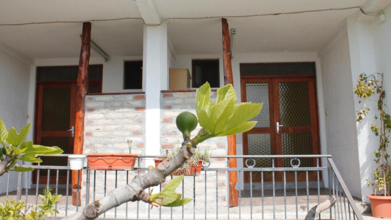 Pataki Studios Petrovac Dış mekan fotoğraf